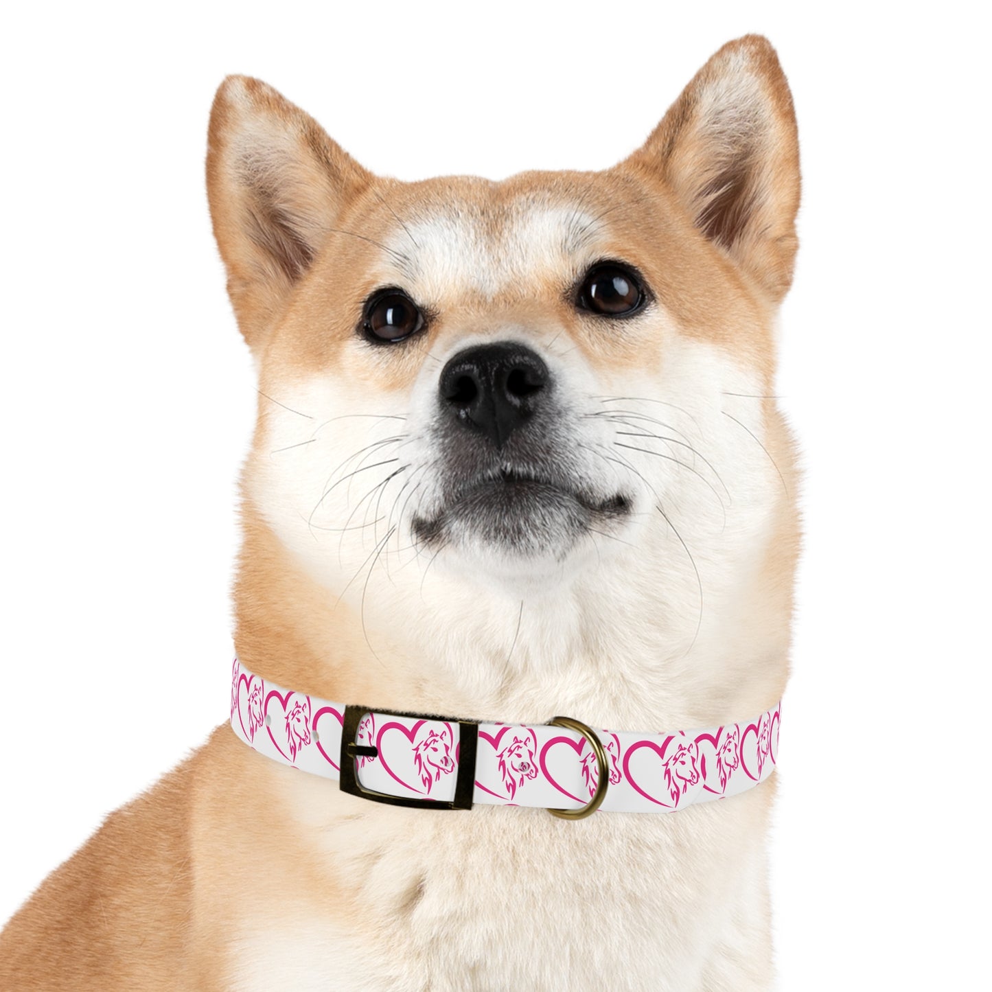 Wasabi Aftercare Dog Collar