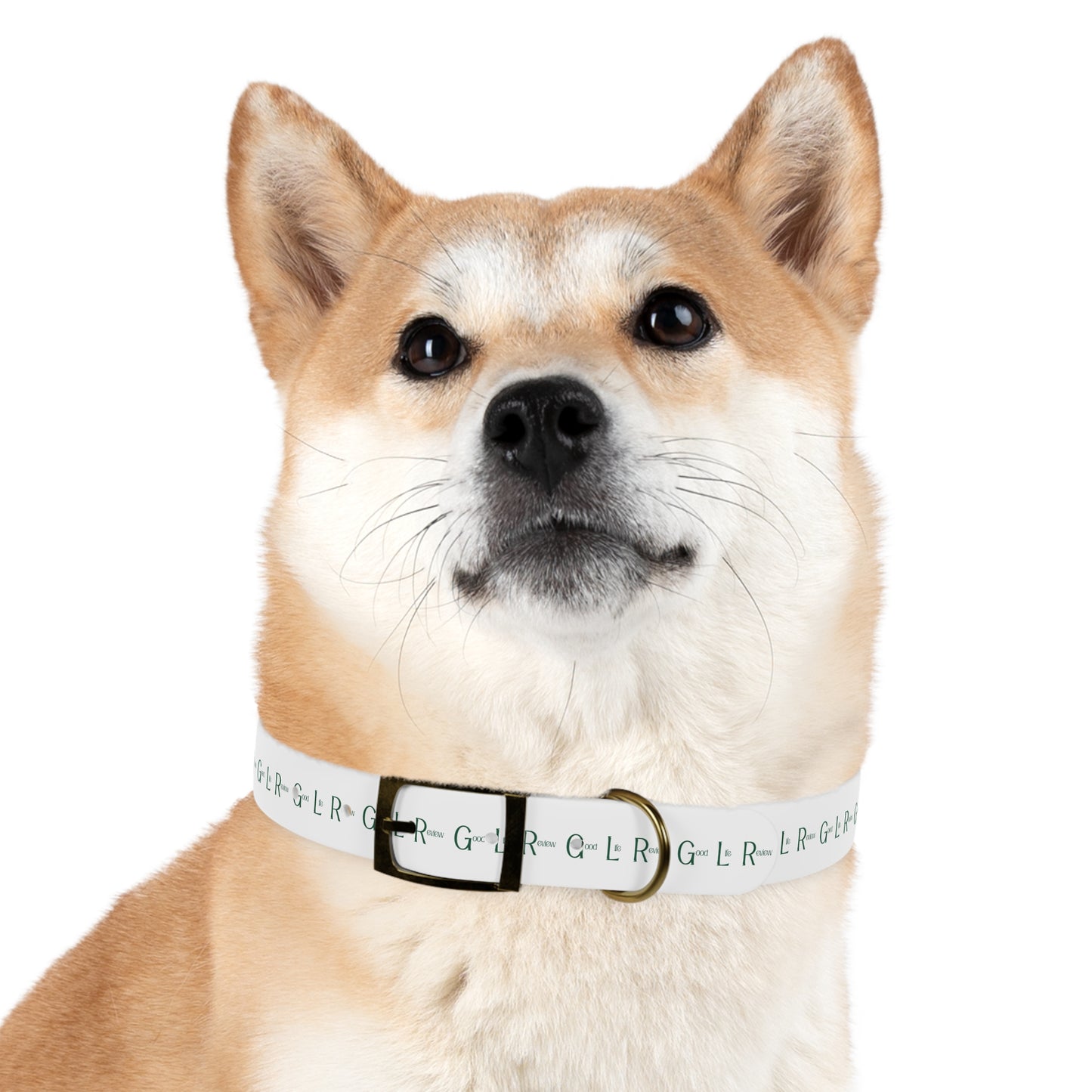 Good Life Review Dog Collar