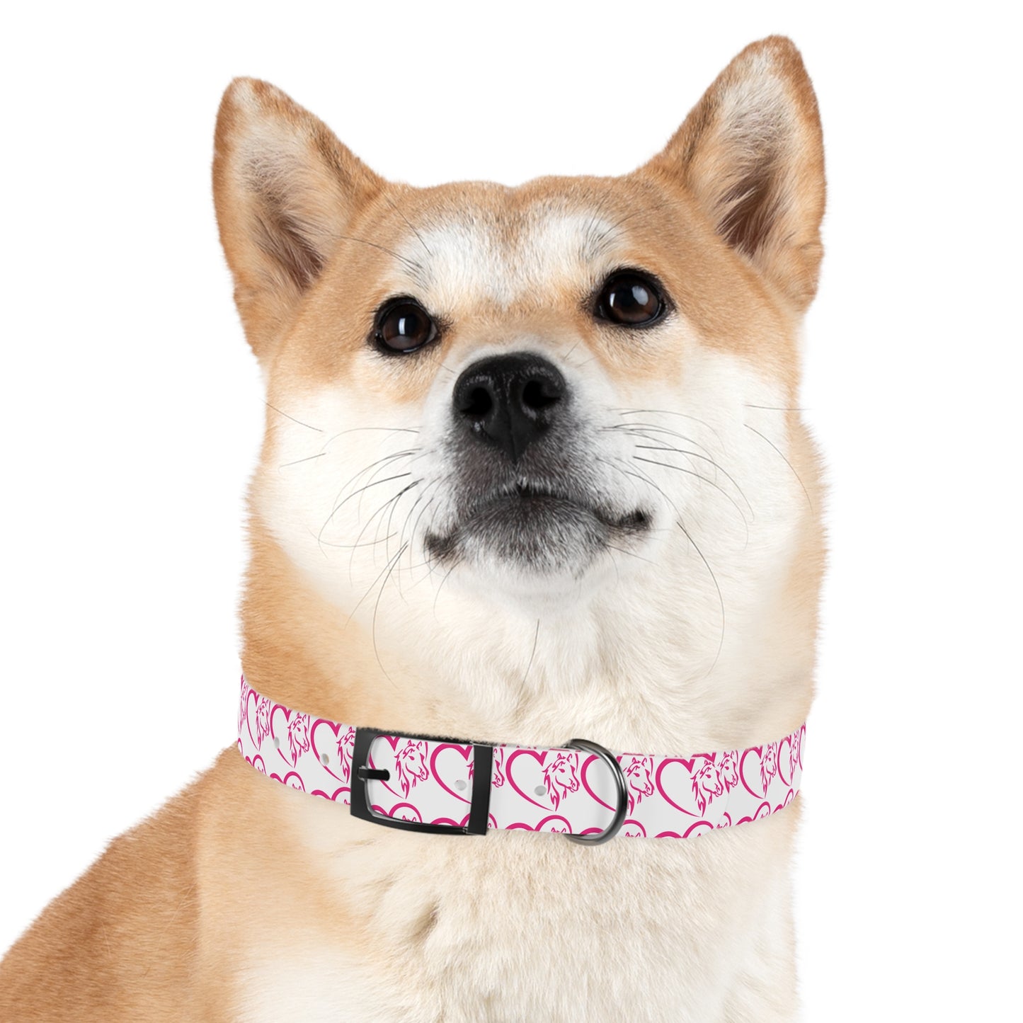 Wasabi Aftercare Dog Collar