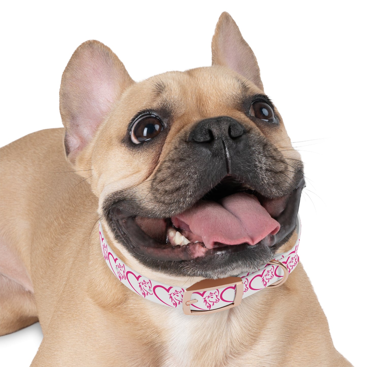 Wasabi Aftercare Dog Collar