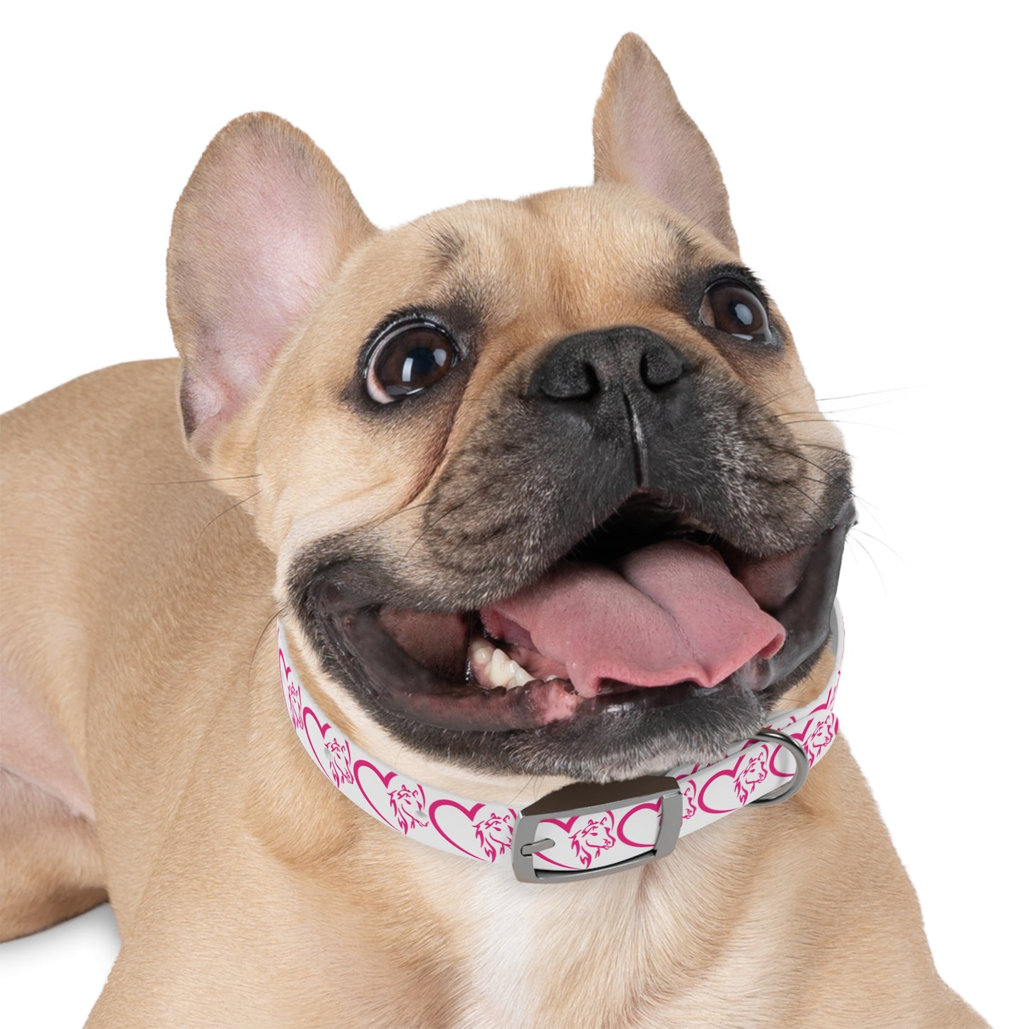 Wasabi Aftercare Dog Collar