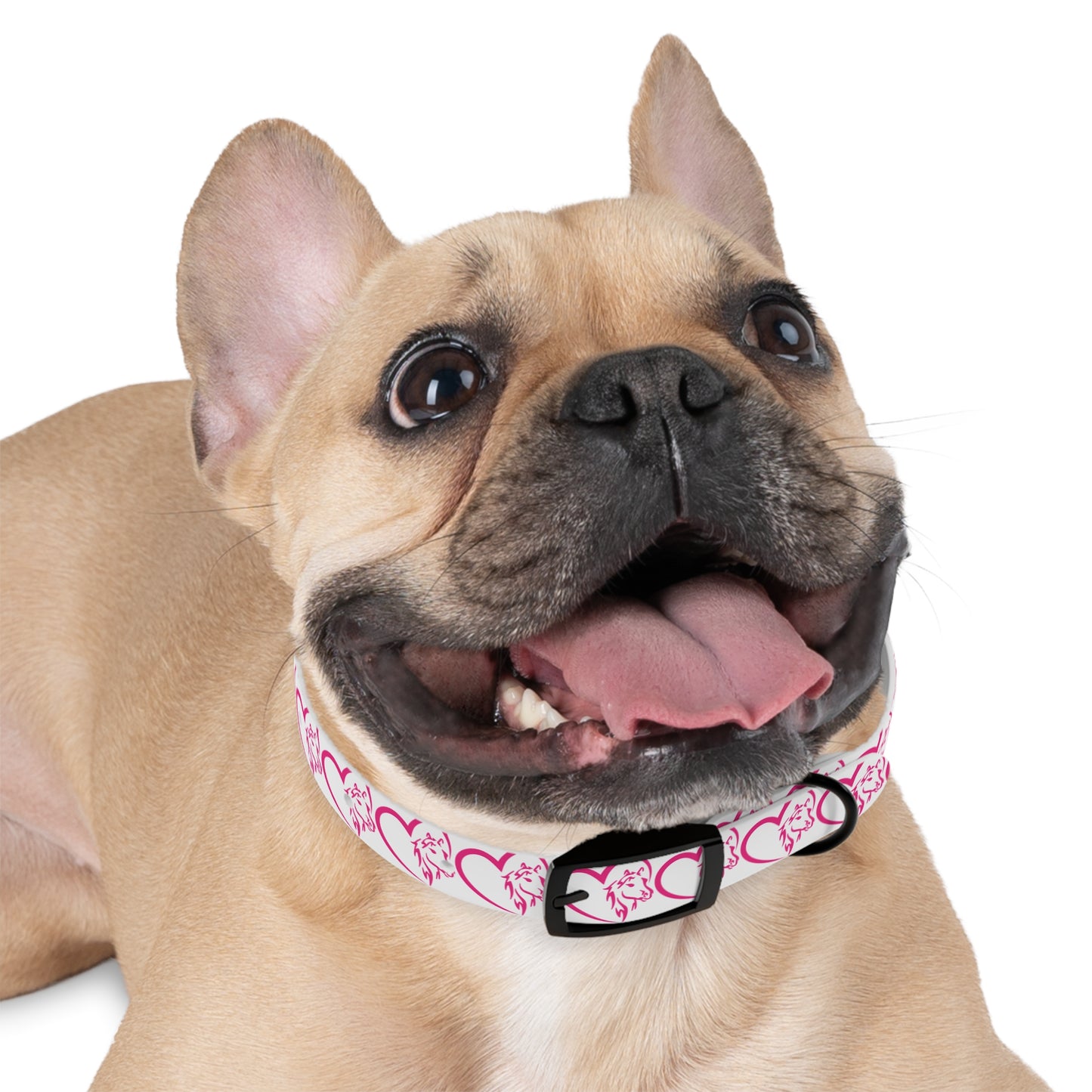 Wasabi Aftercare Dog Collar