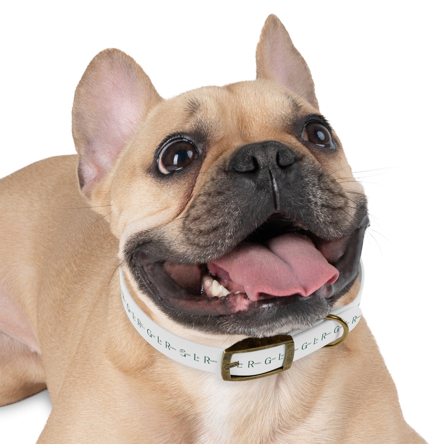 Good Life Review Dog Collar