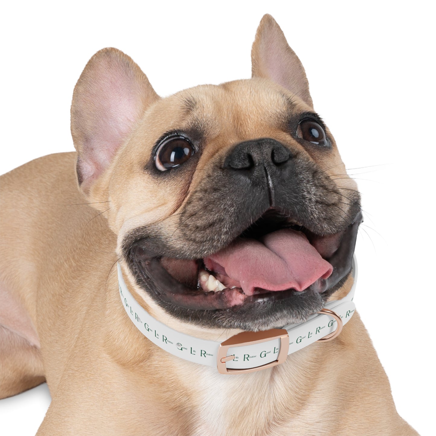 Good Life Review Dog Collar