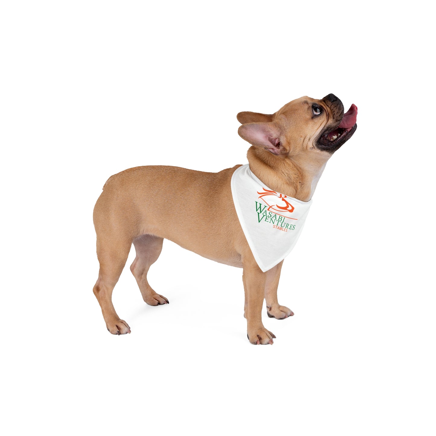 Wasabi Ventures Stables Pet Bandana