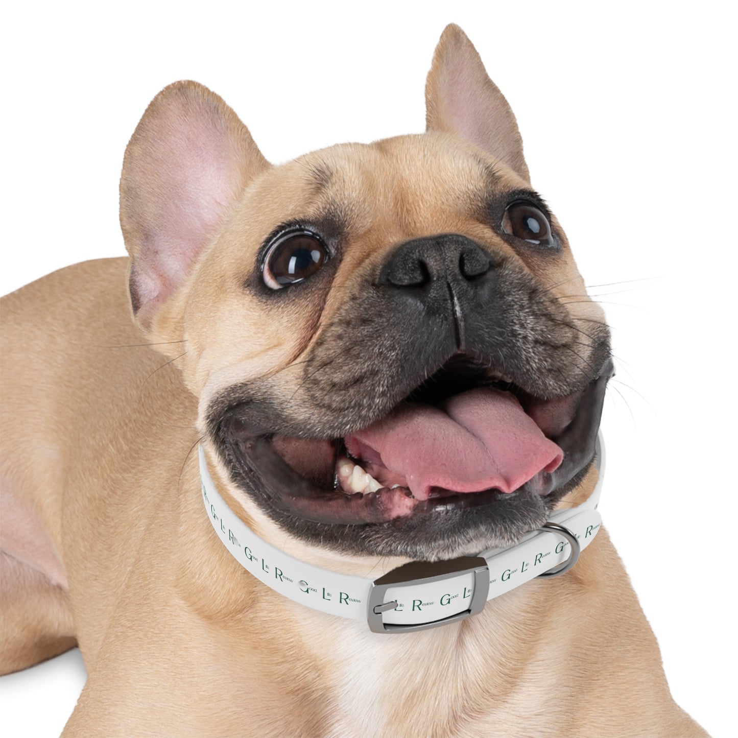 Good Life Review Dog Collar