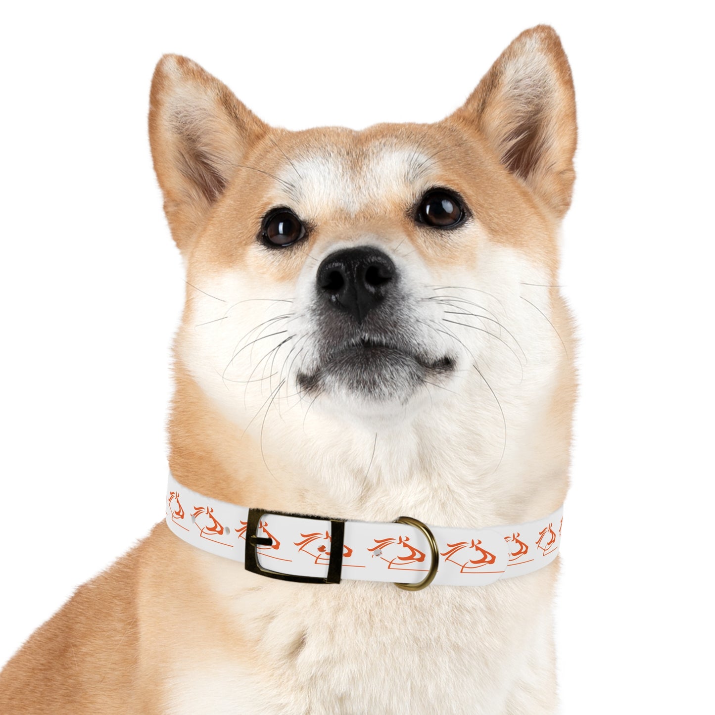Wasabi Ventures Stables Dog Collar