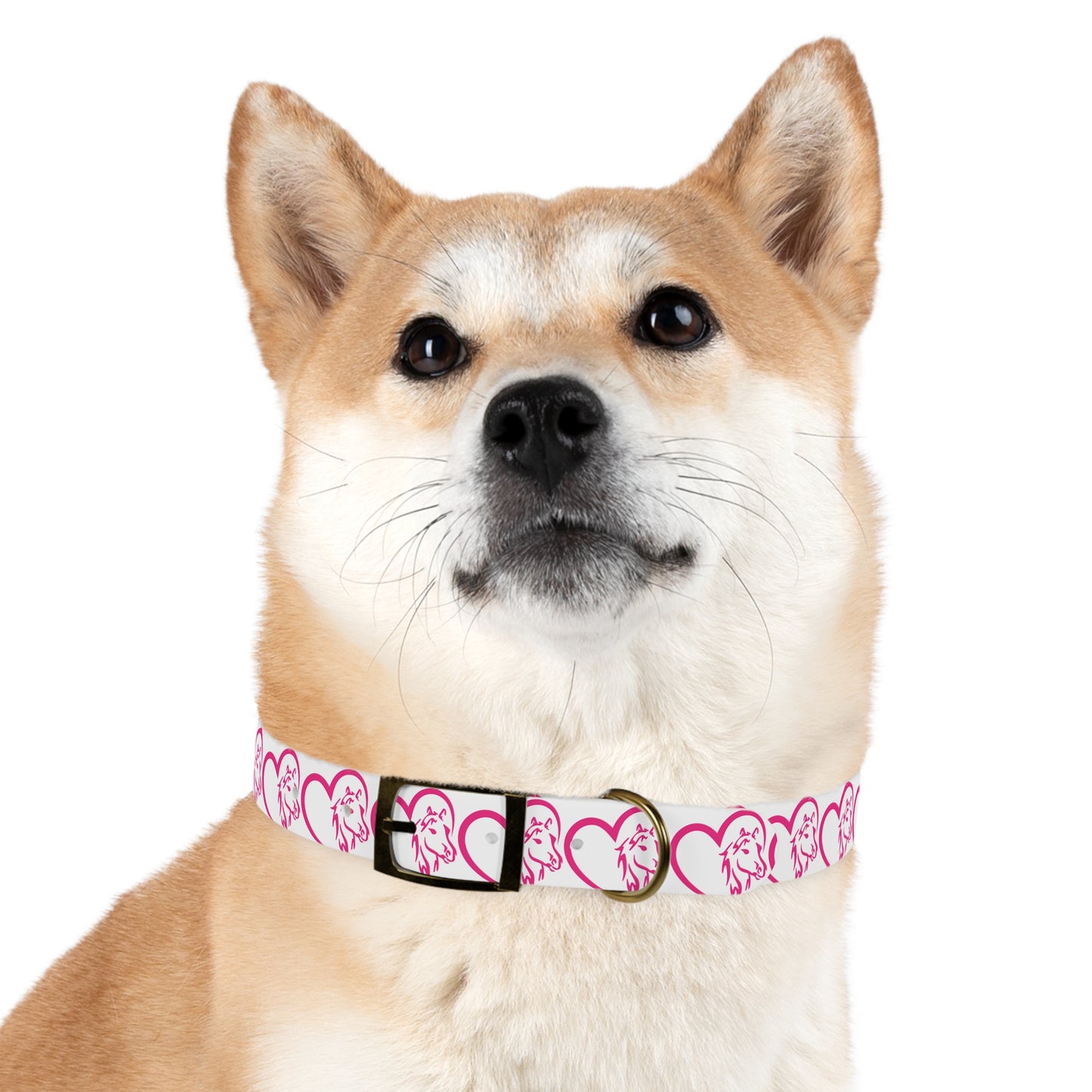 Wasabi Aftercare Dog Collar