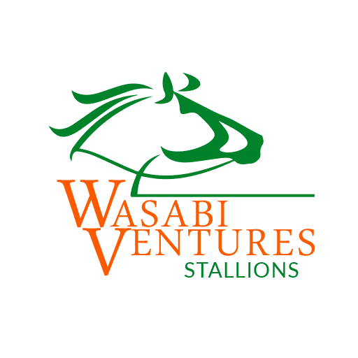 Wasabi Ventures Stallions