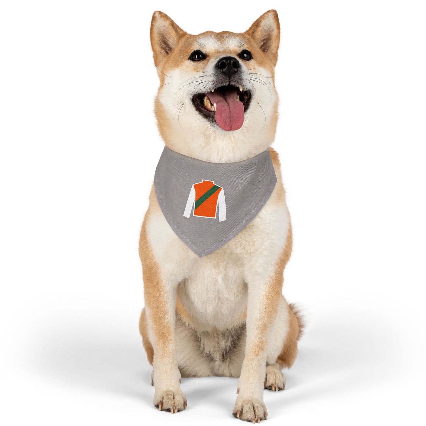 Wasabi Ventures Stables Silk Collection Pet Bandana Collar