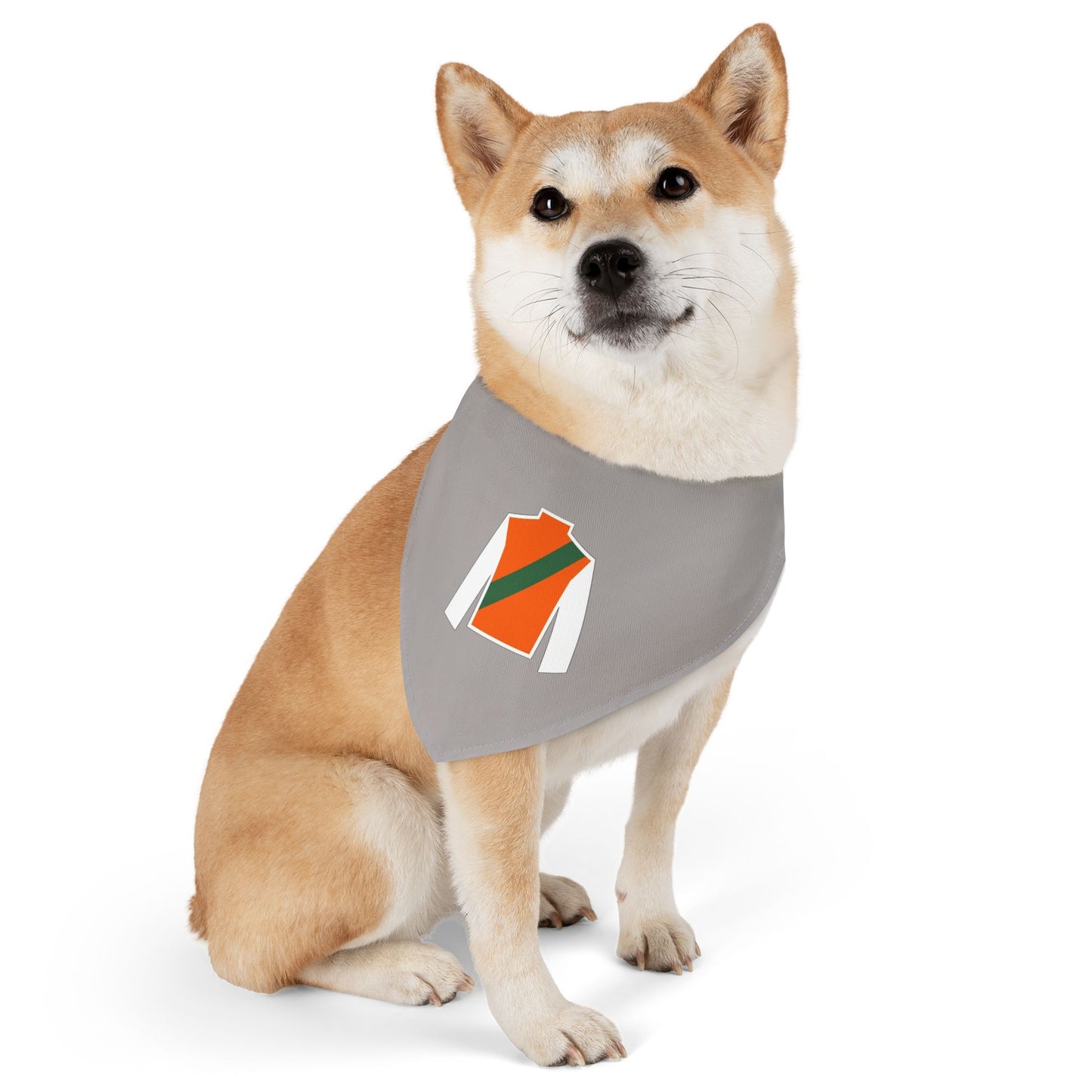 Wasabi Ventures Stables Silk Collection Pet Bandana Collar