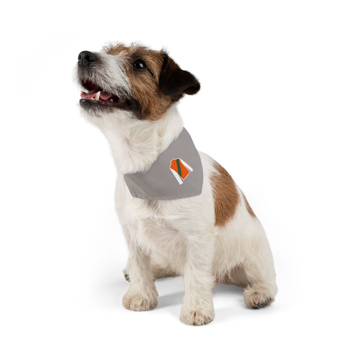 Wasabi Ventures Stables Silk Collection Pet Bandana Collar