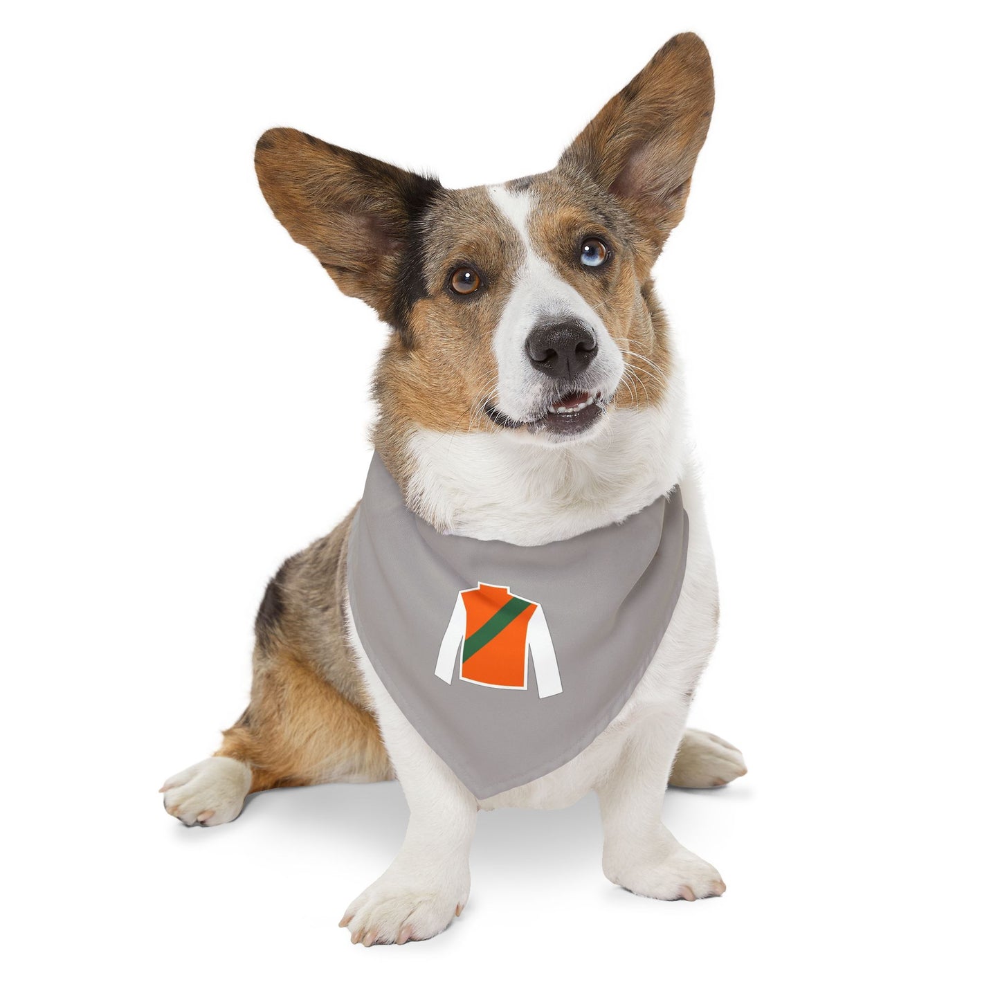 Wasabi Ventures Stables Silk Collection Pet Bandana Collar