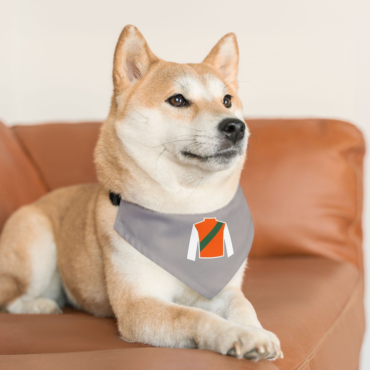 Wasabi Ventures Stables Silk Collection Pet Bandana Collar