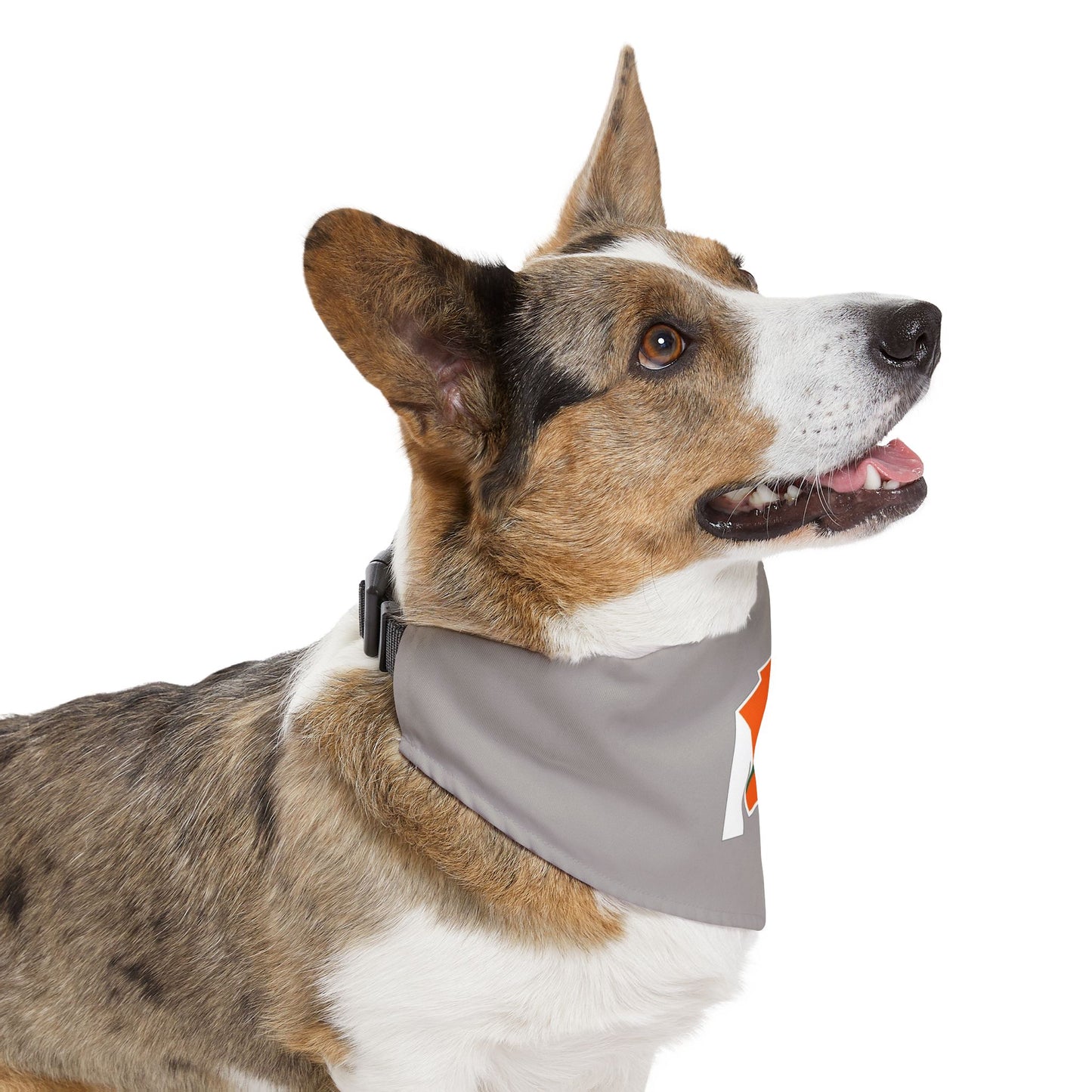 Wasabi Ventures Stables Silk Collection Pet Bandana Collar