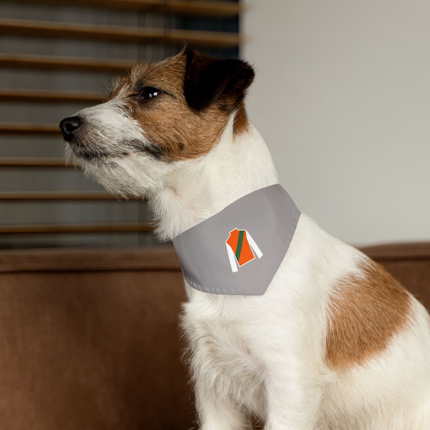 Wasabi Ventures Stables Silk Collection Pet Bandana Collar